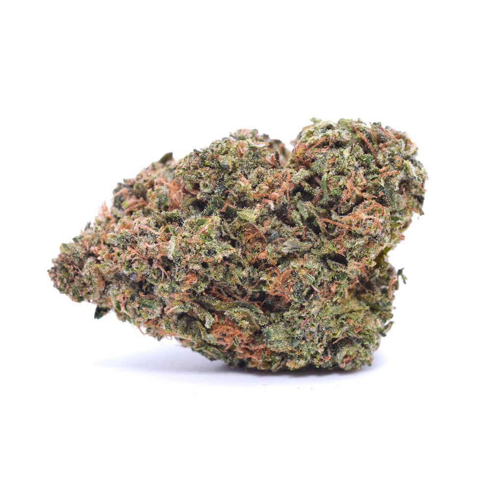 tropicanna-poison-weed