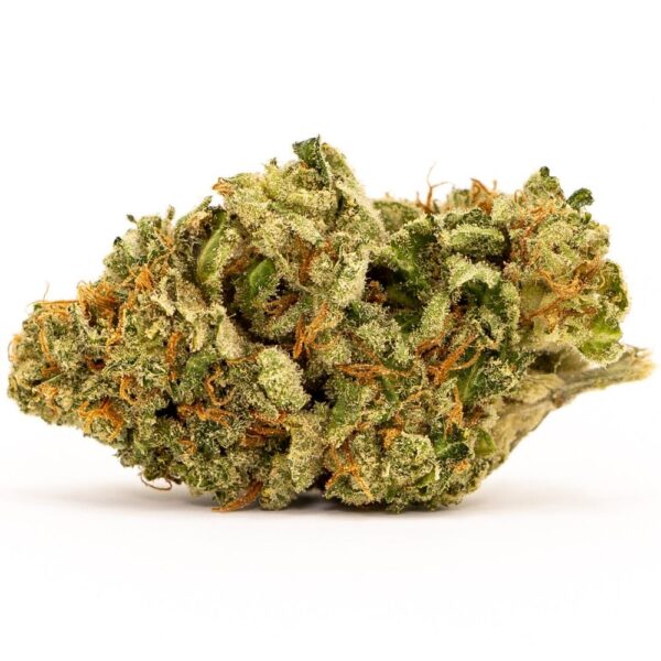 white-widow-weed